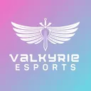 ValkeSportsLogo