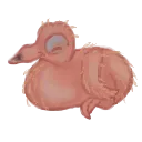 meatball meatball