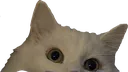 yukiLurk