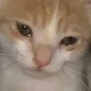 Cry