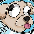 DerpDogPaola DerpDogPaola