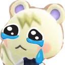 squirrel_cri