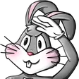 bbolliSALUTE