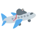 rat_airplane
