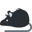 rat_dark