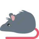 rat_eyeshine