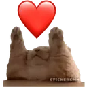 gatocorazon