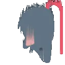 rat_falling
