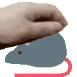rat_pet
