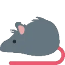 was_that_a_rat