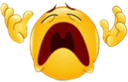 lloros Discord emoji