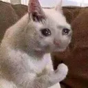sadpunchpussy