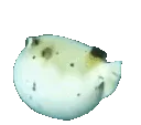 BLpuffy