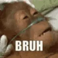 bruh