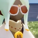 sunglasseses