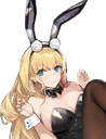NCBunny2