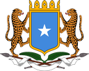 Somalia Discord emoji