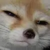 FoxWeirdChamp Discord Emoji