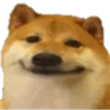 okbhoi