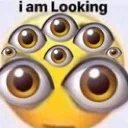 :iamlooking: