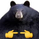 bearshy
