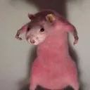 madrat