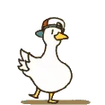 duckdance