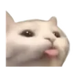 duduqvCatBlu