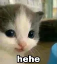 cathehe