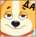 883268680992034878.png