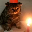 Sadge