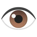 eye1