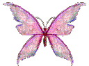 d_fairywngs