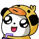 roo_sip