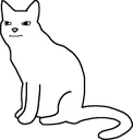 Catjak