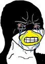 SoyPenguinCrying