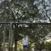 lucsfly