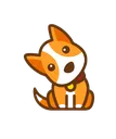 Shiba_confused