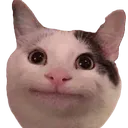 Politecat politecat Discord Emoji