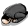 ThankEgg