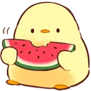 DGchickWatermelon