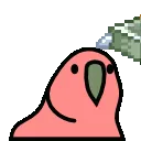 flyingmoneyparrot