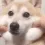 SquishyBOYE