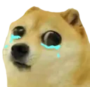dogeWAH Discord Emoji