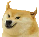 doge