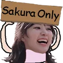 sakuraonly