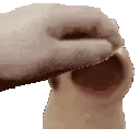 PetPetPotat
