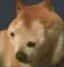Boopis