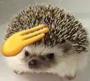 hhsalute hhsalute