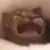 catCry